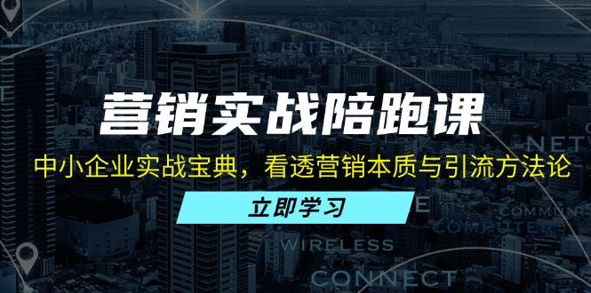 （13146期）营销实战陪跑课：中小企业实战宝典，看透营销本质与引流方法论-天孤无涯网