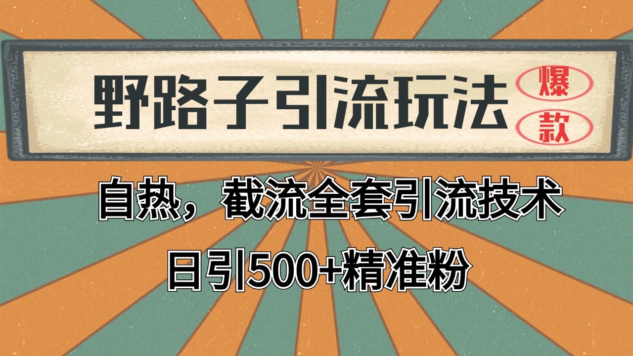 抖音小红书视频号全平台引流打法，全自动引流日引2000+精准客户-天孤无涯网
