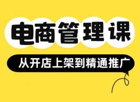 小红书&闲鱼开店从开店上架到精通推广，电商管理课-天孤无涯网