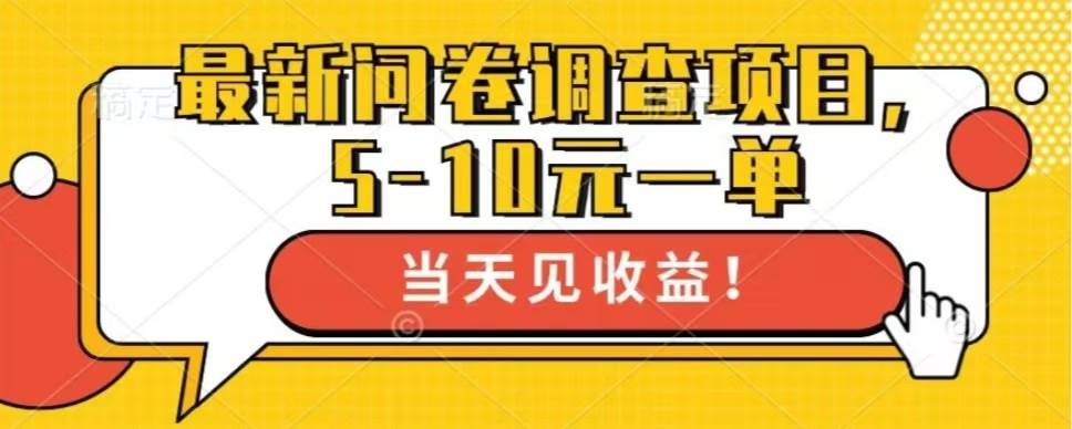 （13167期）最新问卷调查项目，单日零撸100＋-天孤无涯网
