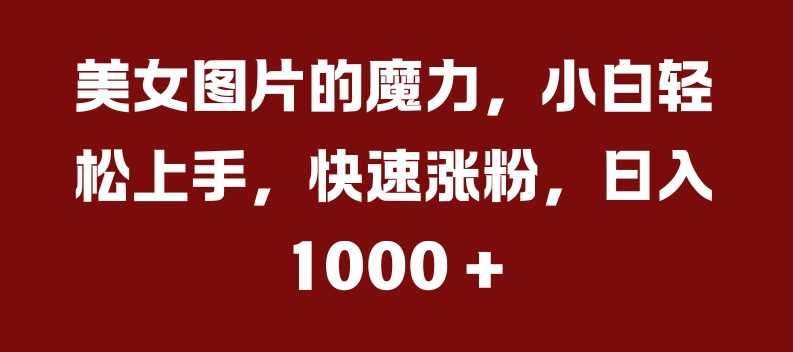 美女图片的魔力，小白轻松上手，快速涨粉，日入几张【揭秘】-天孤无涯网