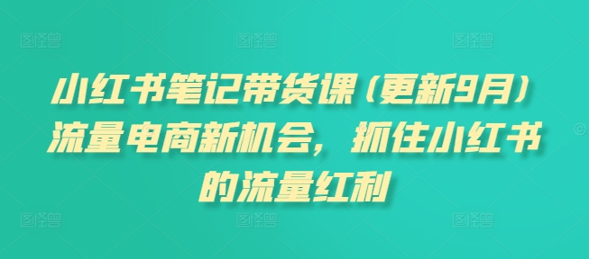 小红书笔记带货课(更新10月)流量电商新机会，抓住小红书的流量红利-天孤无涯网