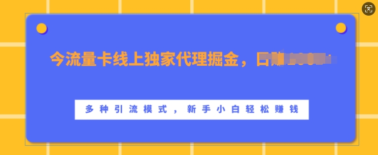 流量卡线上独家代理掘金，日入1k+ ，多种引流模式，新手小白轻松上手【揭秘】-天孤无涯网