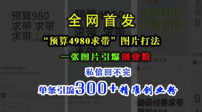 小红书“预算4980带我飞”图片打法，一张图片引爆创业粉，私信回不完，单条引流300+精准创业粉-天孤无涯网