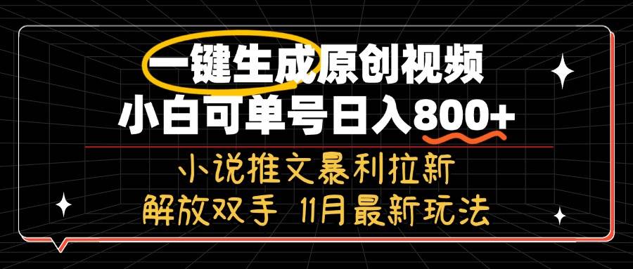 （13215期）11月最新玩法小说推文暴利拉新，一键生成原创视频，小白可单号日入800+…-天孤无涯网