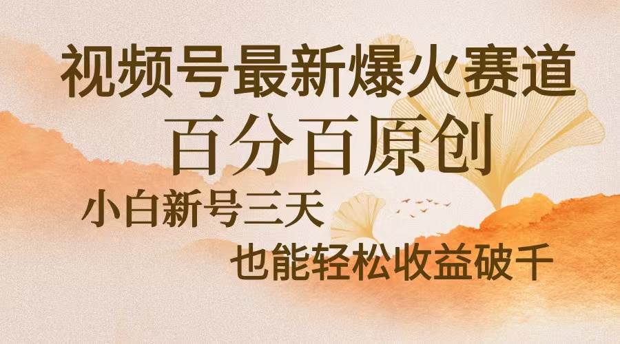 （13225期）视频号最新爆火赛道，中老年粉深信不疑，百分百原创，新号三天收益轻松…-天孤无涯网