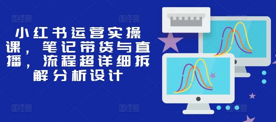 小红书运营实操课，笔记带货与直播，流程超详细拆解分析设计-天孤无涯网