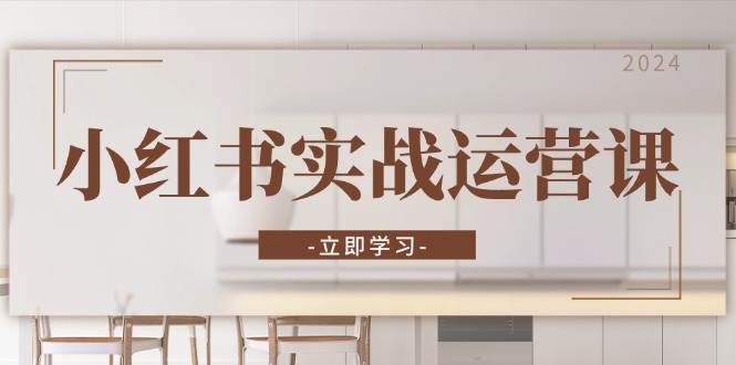 小红书实战运营课：从开通店铺到直播话术，打造爆款笔记与高效直播-天孤无涯网