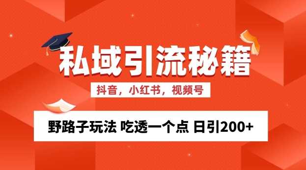 私域流量的精准化获客方法 野路子玩法 吃透一个点 日引200+ 【揭秘】-天孤无涯网