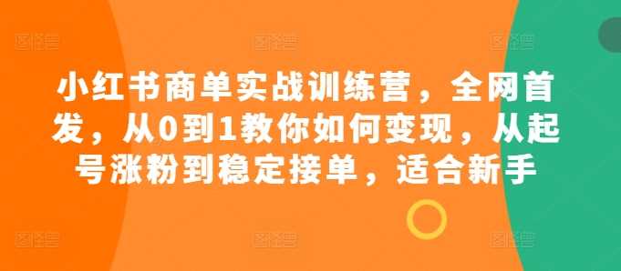 小红书商单实战训练营，全网首发，从0到1教你如何变现，从起号涨粉到稳定接单，适合新手-天孤无涯网