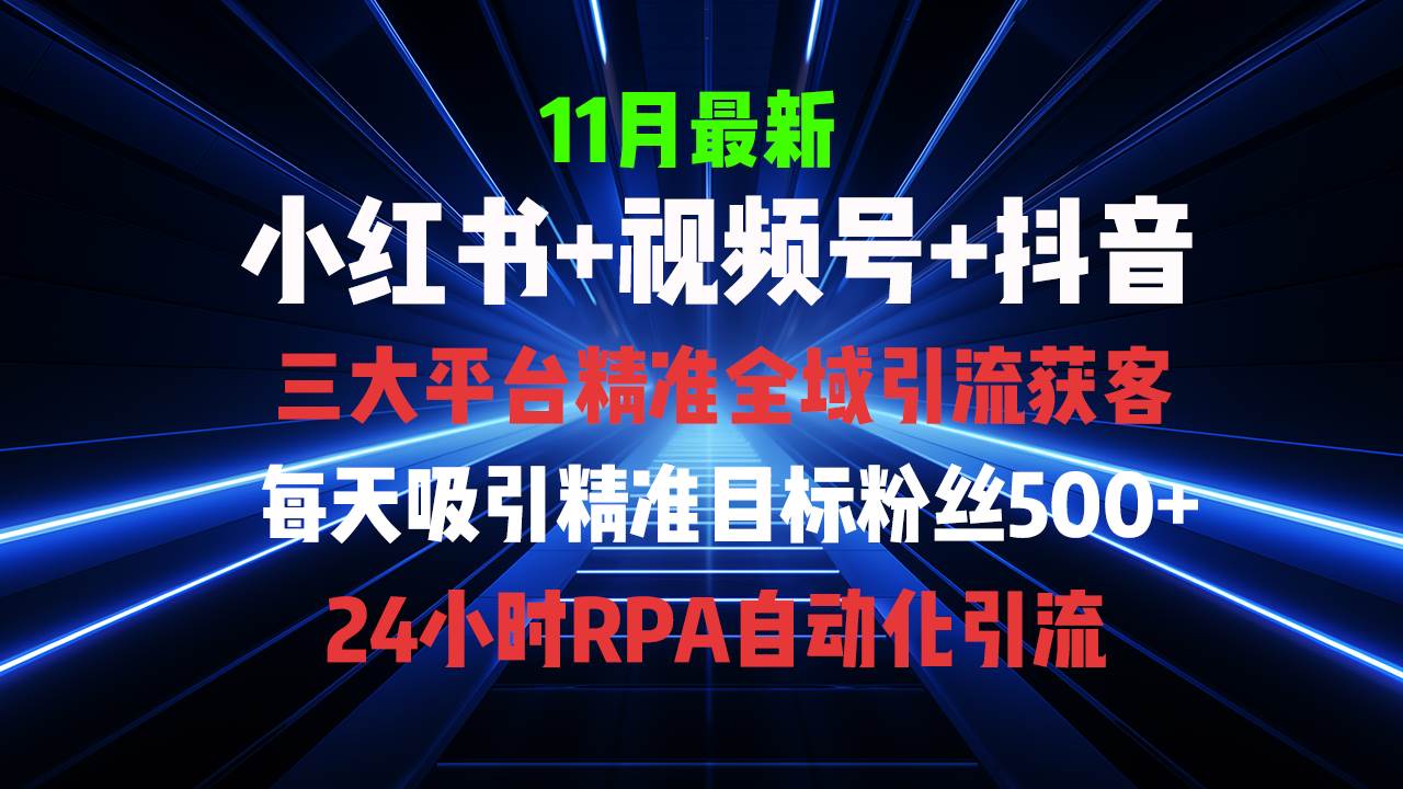 （13259期）全域多平台引流私域打法，小红书，视频号，抖音全自动获客，截流自…-天孤无涯网