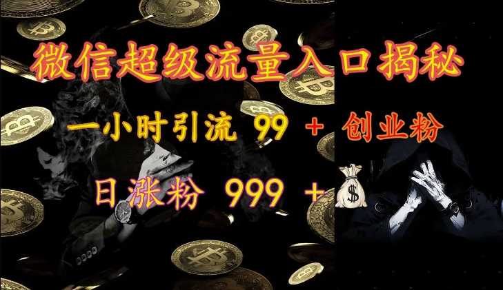 微信超级流量入口揭秘：一小时引流 99 + 创业粉，日涨粉 999 +-天孤无涯网