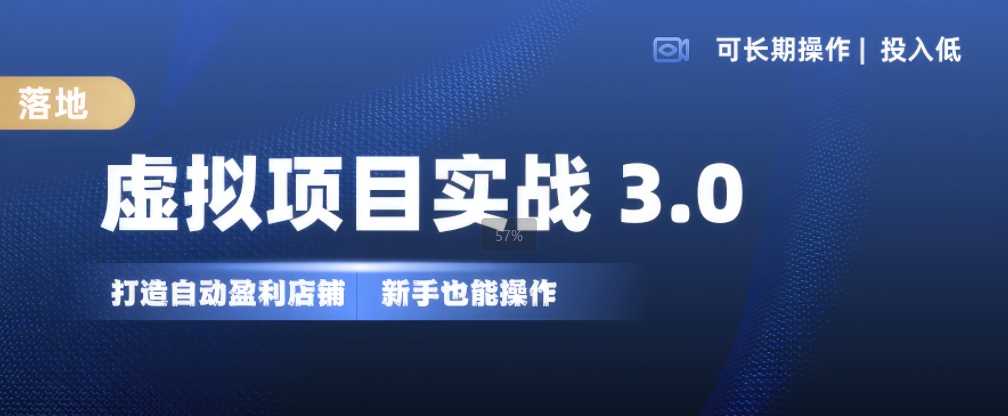 虚拟项目实战3.0，打造自动盈利店铺，可长期操作投入低，新手也能操作-天孤无涯网