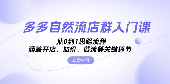 （13279期）多多自然流店群入门课，从0到1思路流程，涵盖开店、加价、截流等关键环节-天孤无涯网