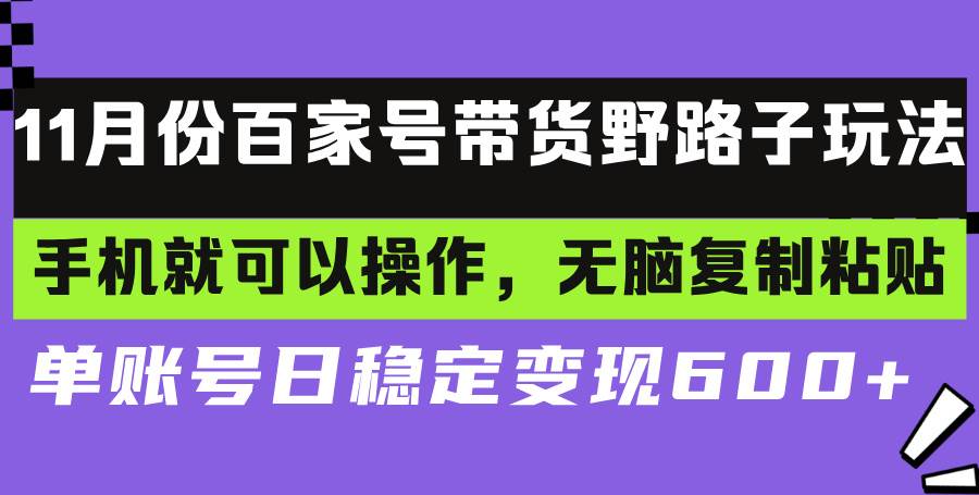 （13281期）百家号带货野路子玩法 手机就可以操作，无脑复制粘贴 单账号日稳定变现…-天孤无涯网