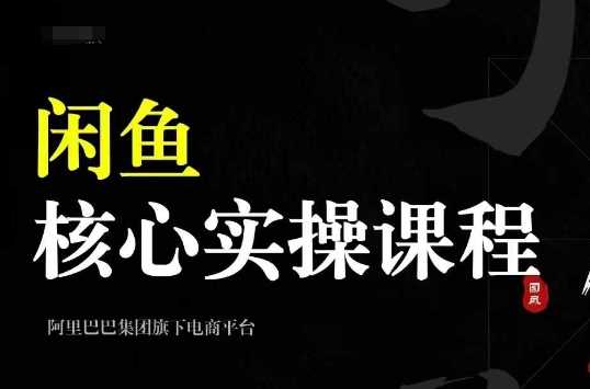 2024闲鱼核心实操课程，从养号、选品、发布、销售，教你做一个出单的闲鱼号-天孤无涯网