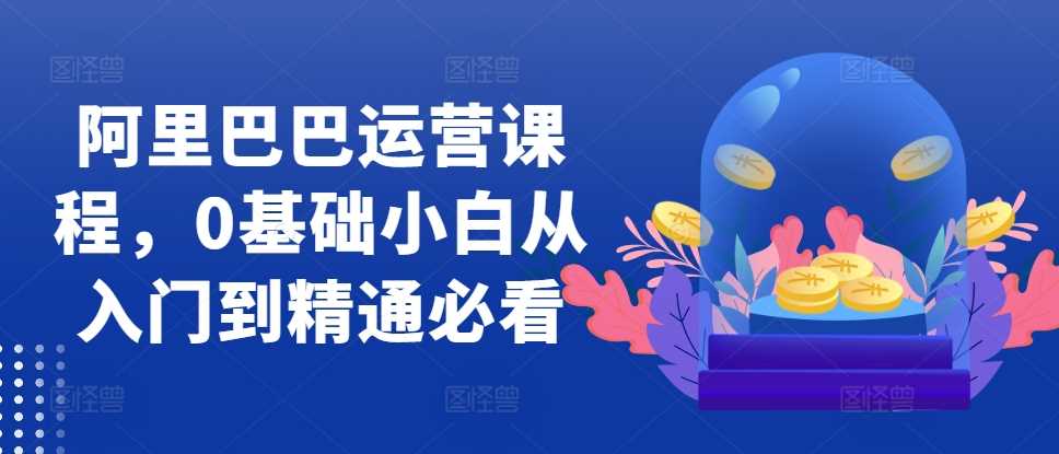 阿里巴巴运营课程，0基础小白从入门到精通必看-天孤无涯网