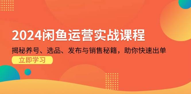 （13290期）2024闲鱼运营实战课程：揭秘养号、选品、发布与销售秘籍，助你快速出单-天孤无涯网