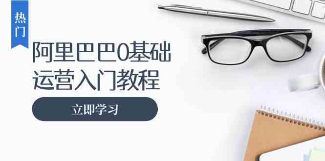 阿里巴巴运营零基础入门教程：涵盖开店、运营、推广，快速成为电商高手-天孤无涯网