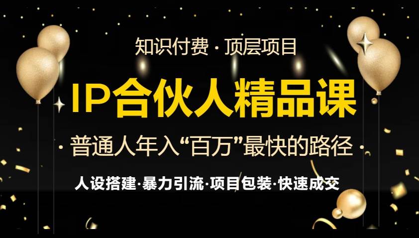 （13297期）IP合伙人最新精品课程，知识付费全流程+最强引流术+小白避坑指南-天孤无涯网