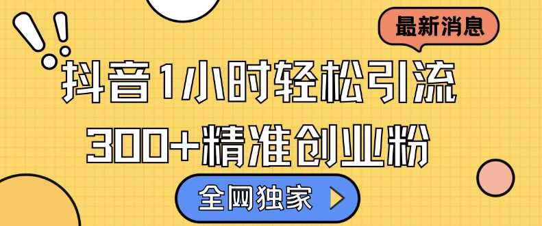 全网独家抖音引流，轻松日引300+精准创业粉【揭秘】-天孤无涯网
