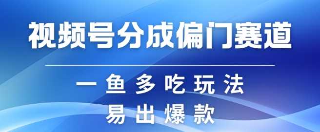 视频号创作者分成计划偏门类目，容易爆流，实拍内容简单易做【揭秘】-天孤无涯网