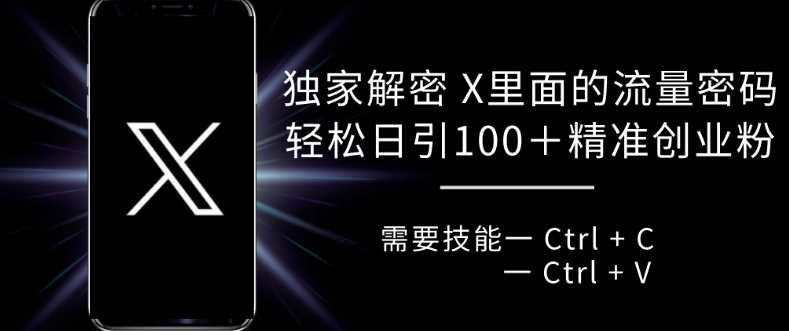 独家解密 X 里面的流量密码，复制粘贴轻松日引100+-天孤无涯网