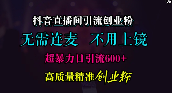 抖音直播间引流创业粉，无需连麦、无需上镜，超暴力日引流600+高质量精准创业粉【揭秘】-天孤无涯网