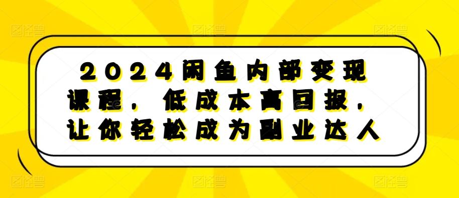2024闲鱼内部变现课程，低成本高回报，让你轻松成为副业达人-天孤无涯网