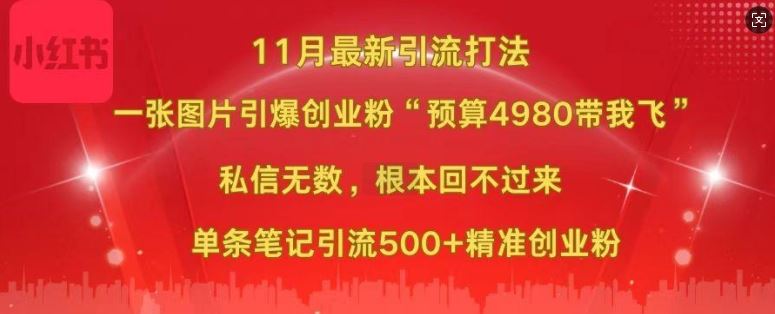小红书11月最新图片打粉，一张图片引爆创业粉，“预算4980带我飞”，单条引流500+精准创业粉-天孤无涯网