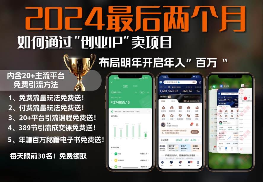 （13322期）2024最后两个月如何通过”创业IP“卖项目年入”百万“,创业IP+最强引流…-天孤无涯网