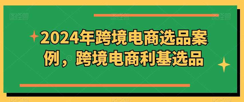 2024年跨境电商选品案例，跨境电商利基选品（更新11月）-天孤无涯网