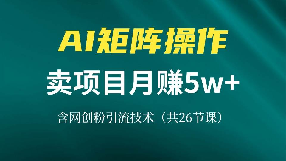 （13335期）网创IP打造课，借助AI卖项目月赚5万+，含引流技术（共26节课）-天孤无涯网