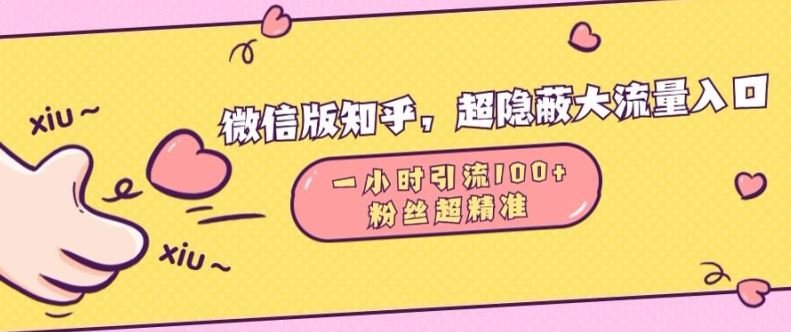 微信版知乎，超隐蔽流量入口1小时引流100人，粉丝质量超高【揭秘】-天孤无涯网