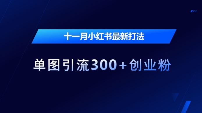 十一月小红书最新打法，单图引流300+创业粉【揭秘】-天孤无涯网
