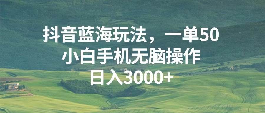 （13353期）抖音蓝海玩法，一单50，小白手机无脑操作，日入3000+-天孤无涯网