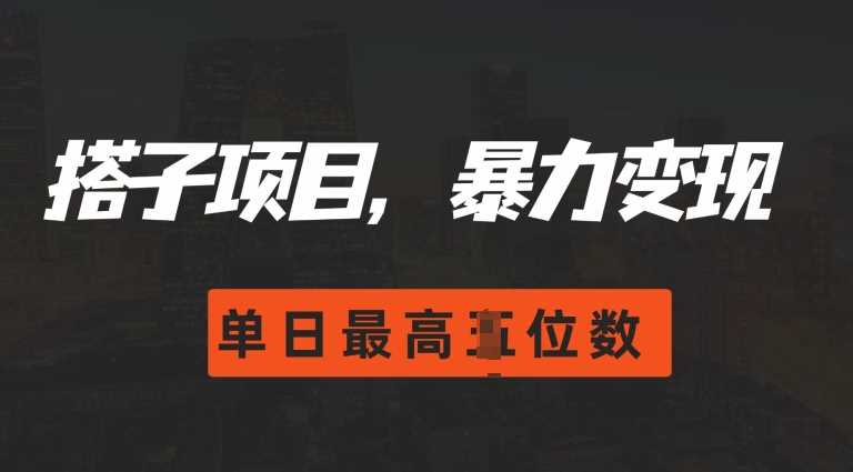2024搭子玩法，0门槛，暴力变现，单日最高破四位数【揭秘】-天孤无涯网
