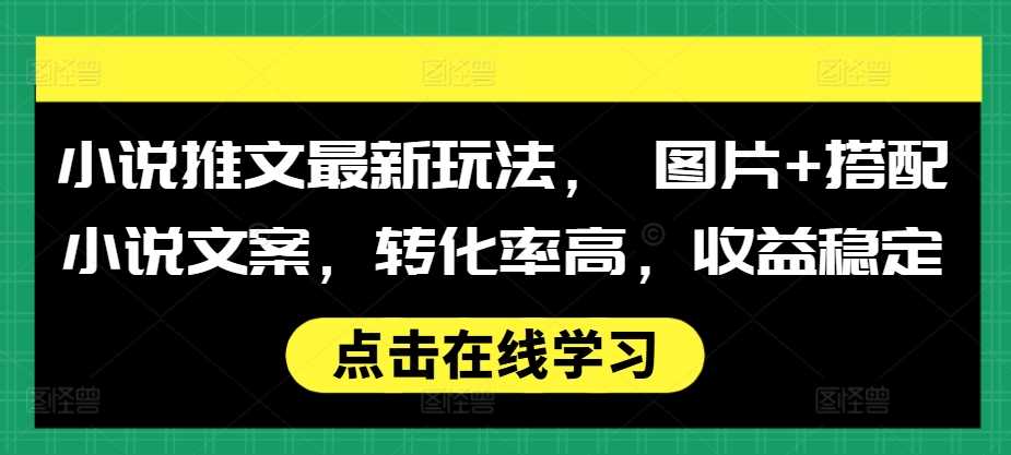 小说推文最新玩法， 图片+搭配小说文案，转化率高，收益稳定-天孤无涯网