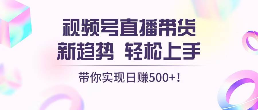 （13370期）视频号直播带货新趋势，轻松上手，带你实现日赚500+-天孤无涯网