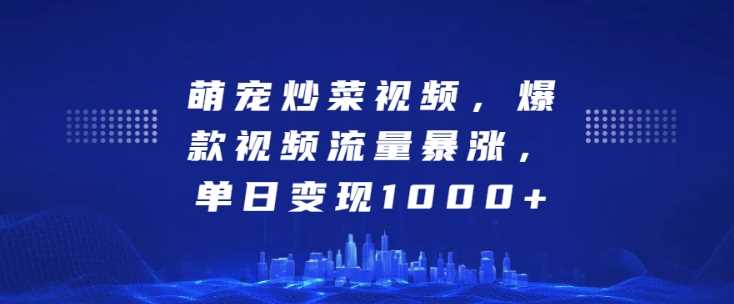 萌宠炒菜视频，爆款视频流量暴涨，单日变现1k-天孤无涯网