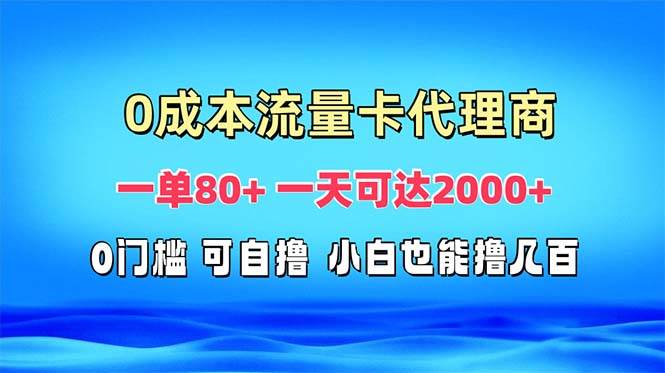 （13391期）免费流量卡代理一单80+ 一天可达2000+-天孤无涯网