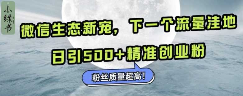 微信生态新宠小绿书：下一个流量洼地，日引500+精准创业粉，粉丝质量超高-天孤无涯网
