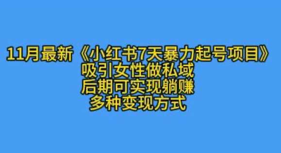 K总部落11月最新小红书7天暴力起号项目，吸引女性做私域【揭秘】-天孤无涯网
