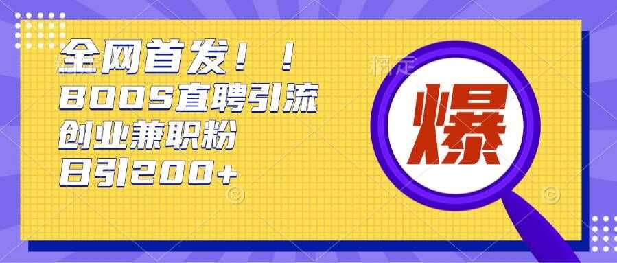 通过Boss直聘，每天轻松钓到200+多条创业大鱼的秘籍【揭秘】-天孤无涯网