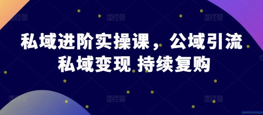 私域进阶实操课，公域引流 私域变现 持续复购-天孤无涯网