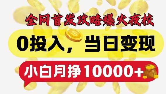 全网首发爆火夜校，0投入，当日变现，小白轻松月入1w+【揭秘】-天孤无涯网