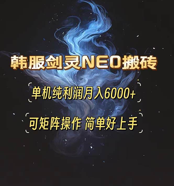 （13435期）韩服剑灵NEO搬砖攻略，单机纯利润月入6000+ 可矩阵操作，简单好上手。-天孤无涯网