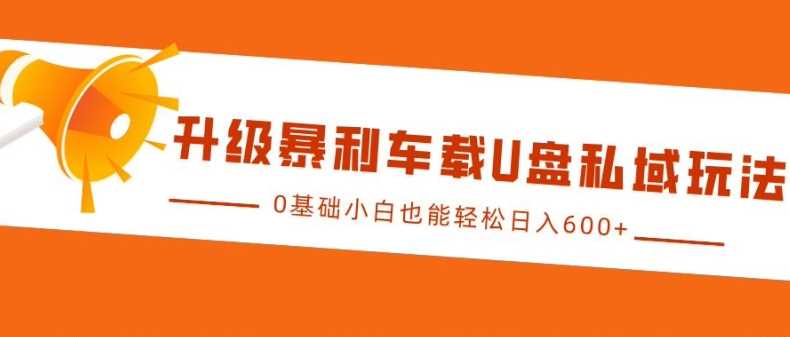升级暴利车载U盘私域玩法，0基础小白也能轻松日入多张【揭秘】-天孤无涯网