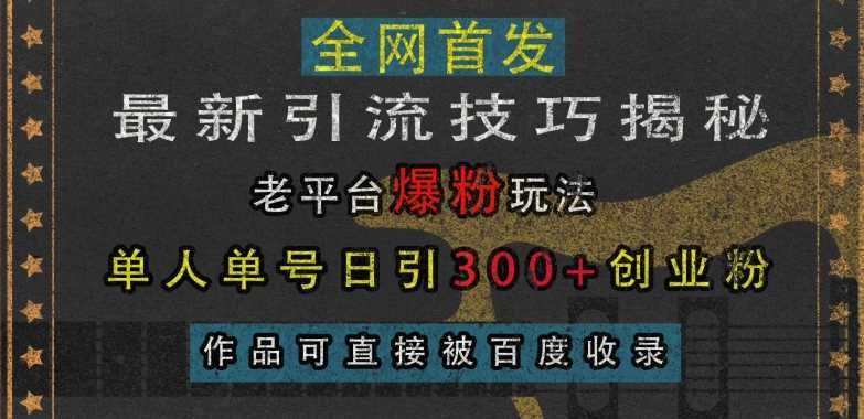最新引流技巧揭秘，老平台爆粉玩法，单人单号日引300+创业粉，作品可直接被百度收录-天孤无涯网