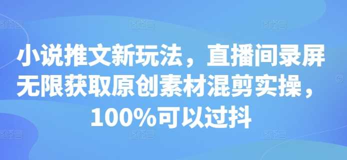 小说推文新玩法，直播间录屏无限获取原创素材混剪实操，100%可以过抖-天孤无涯网